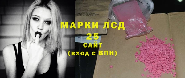 спайс Богданович