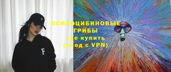 прущие грибы Белокуриха