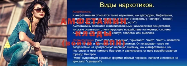 спайс Богданович