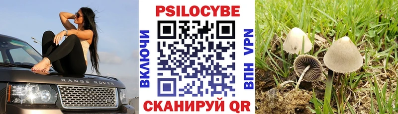 Галлюциногенные грибы GOLDEN TEACHER  нарко площадка клад  Октябрьский 